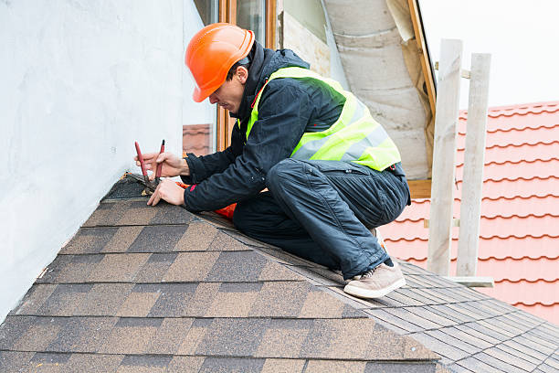 Best Roof Gutter Cleaning  in Philadelphia, MS