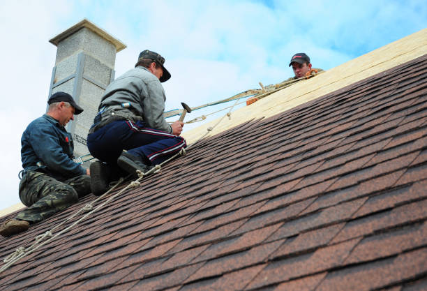 Roof Gutter Cleaning in Philadelphia, MS